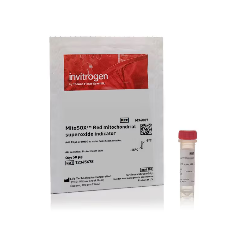 M36007 红色线粒体超氧化物指示剂，用于活细胞成像 - Invitrogen