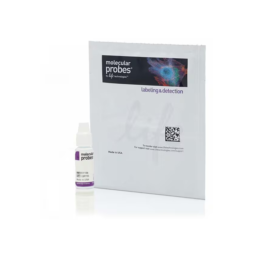 P36965 Diamond 抗淬灭封片剂 - Invitrogen