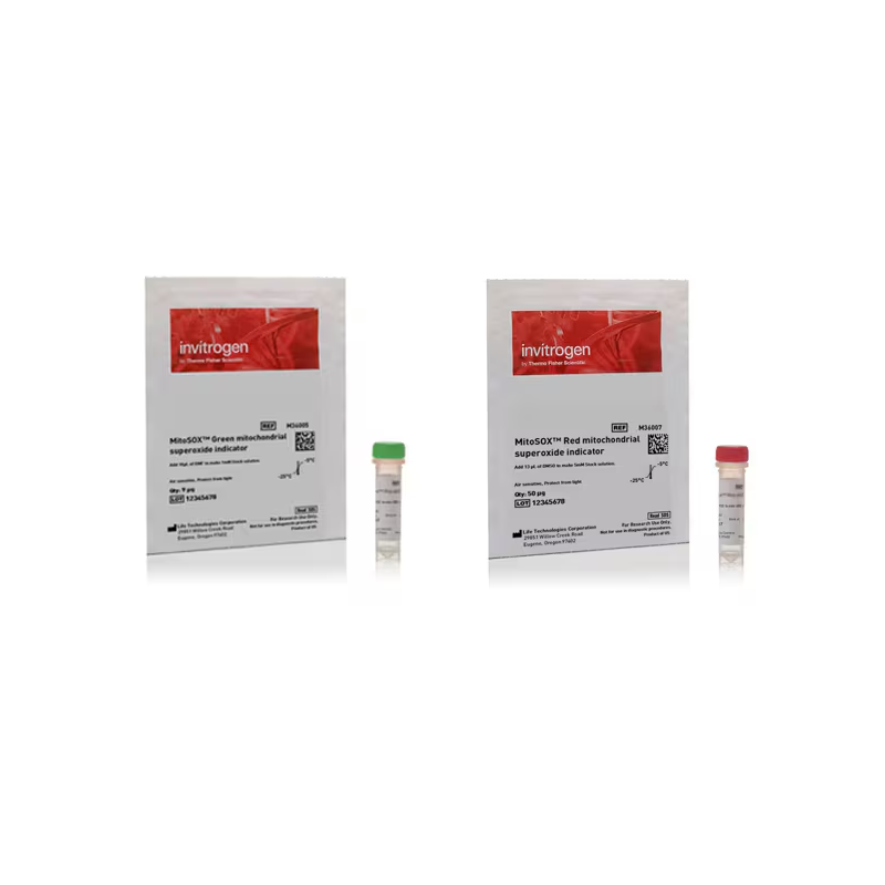 M36009 （绿色/红色）线粒体超氧化物指示剂，用于活细胞成像 - Invitrogen