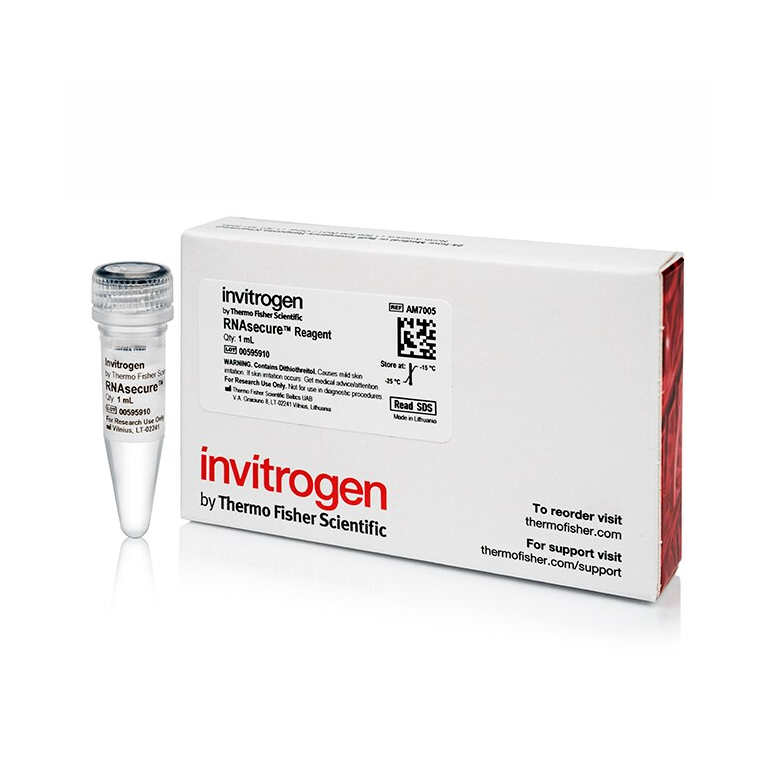 AM7005 试剂RNase Inactivation Reagent - Gibco
