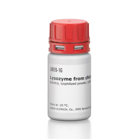 L4919-1G Lysozyme 来源于鸡蛋白 - Sigma-aldrich/西格玛