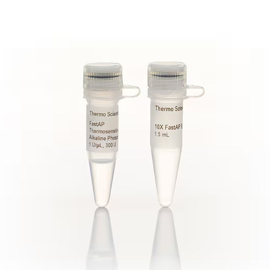EF0654 FastAP 热敏感性碱性磷酸酶 (1 U/μL) - Fermentas(MBI)