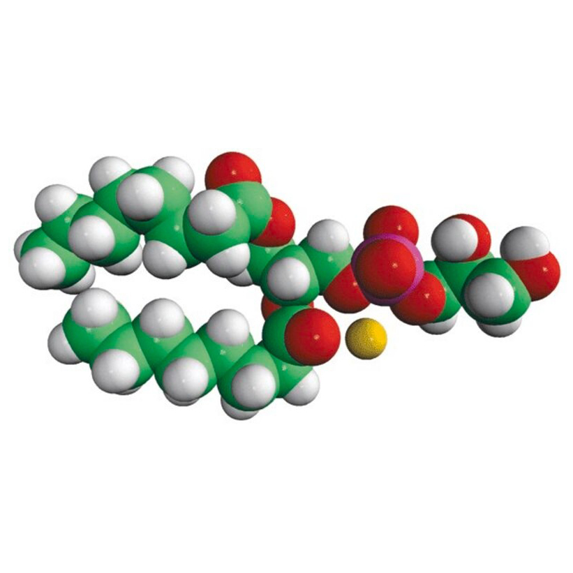 840433P-10MG 二辛酰基 - Sigma-aldrich/西格玛