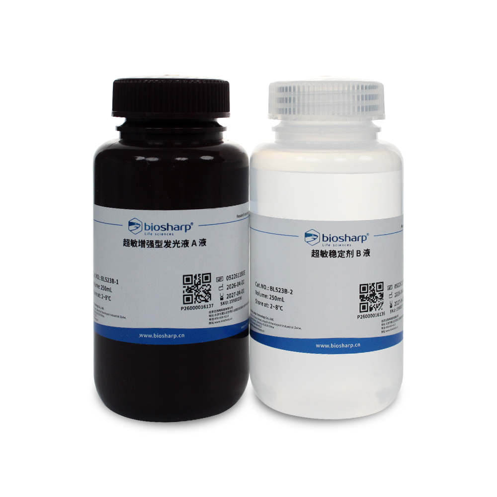 BL523B 超敏ECL化学发光底物 - Biosharp/白鲨