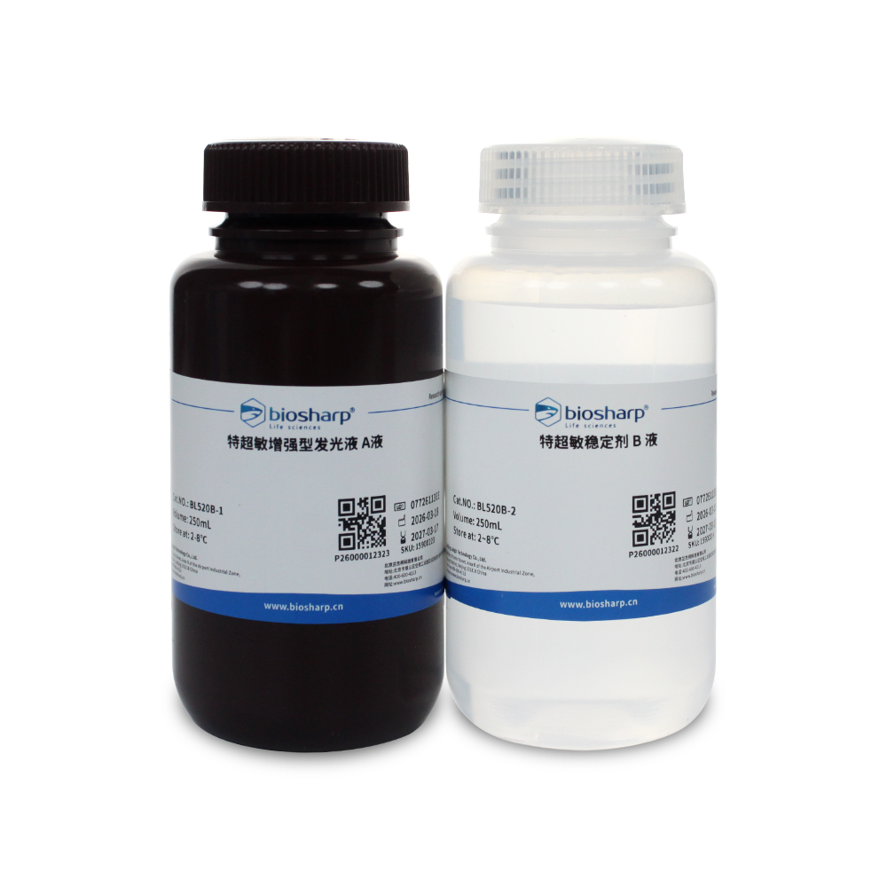 BL520B 特超敏ECL化学发光底物 - Biosharp/白鲨