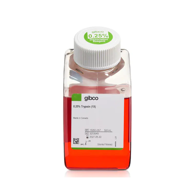 15050-057 胰酶细胞消化液（0.25%胰酶，不含EDTA，含酚红） - Gibco