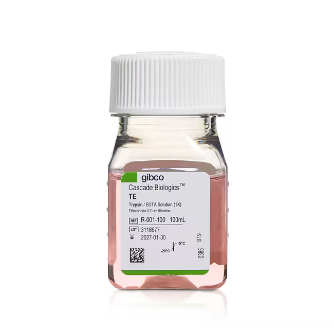 R001100 胰蛋白酶/EDTA 溶液 (TE) - Gibco