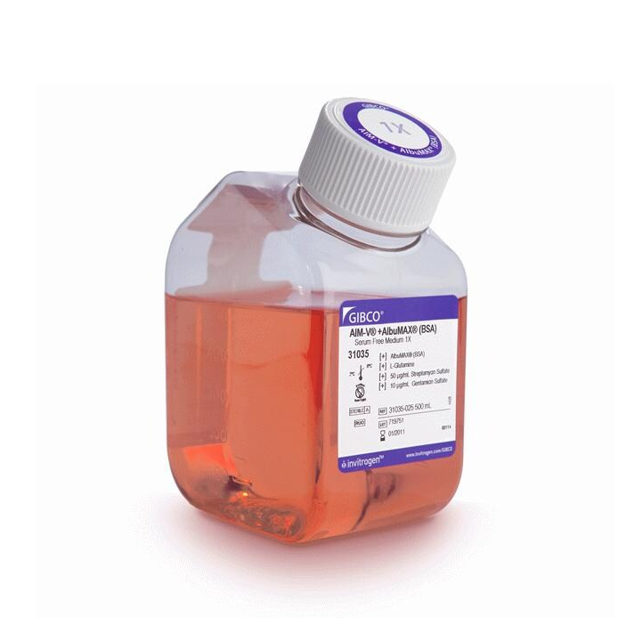 31035-025 试剂AIM V Medium (research grade) AlbuMAX Supplement - Gibco
