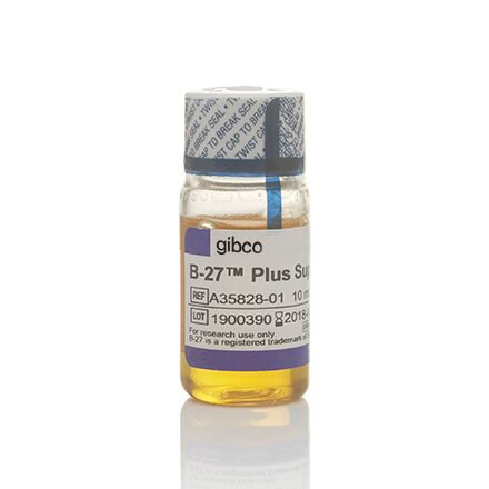 A3582801 B-27 Plus 补充剂 (50X) - Gibco