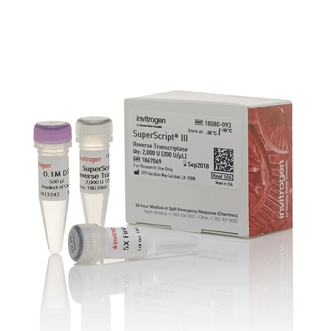 18080-093 试剂SuperScript III Reverse Transcriptase - Gibco
