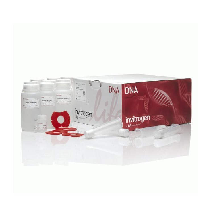 K210007 PureLin HiPure Plasmid Maxiprep Kit试剂盒 - Gibco