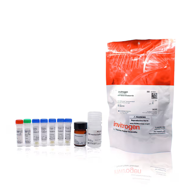 A22066 ATP 含量测定试剂盒，200-1000 次检测 - Gibco