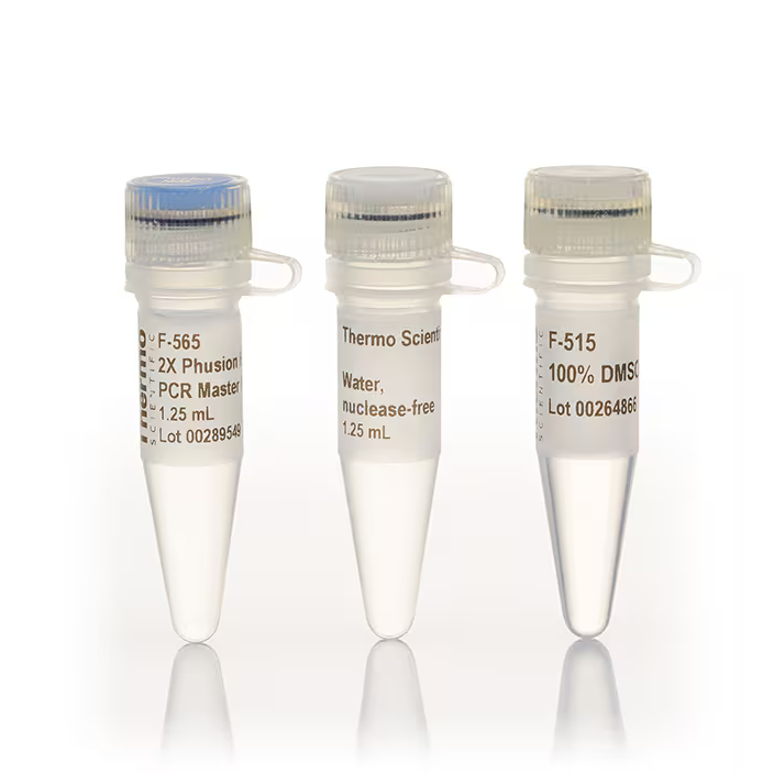F565S Phusion 热启动 II 高保真 PCR 聚合酶 - Gibco
