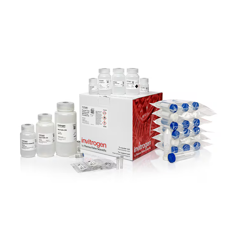 A31217 试剂盒Expi Endotoxin-Free Maxi Plasmid Purification Kit - Gibco