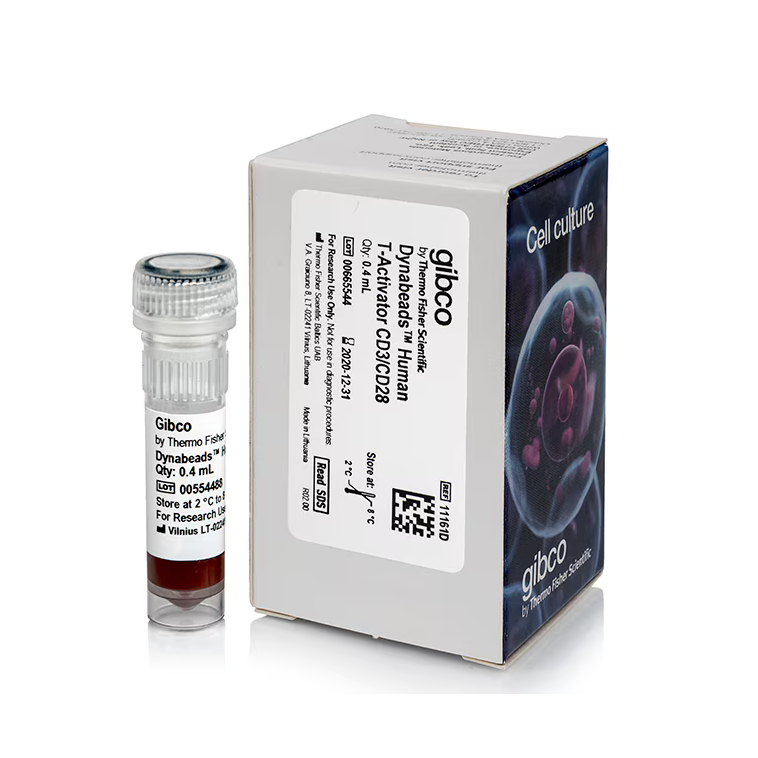 11161D 用于 T 细胞活化和扩增的 Dynabeads 人 T 活化剂 CD3/CD28 - Gibco