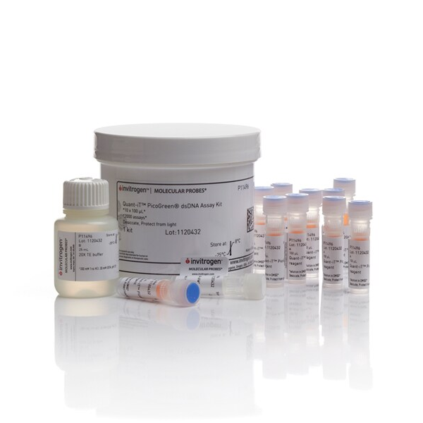 P11496 试剂Quant-iT? PicoGreen? dsDNA Assay Kit - Gibco