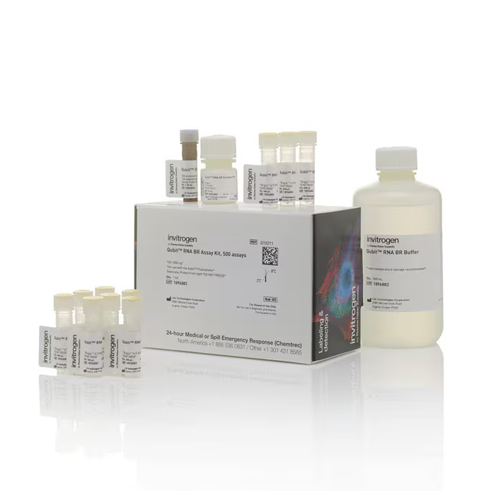 Q10210 试剂Qubit RNA BR Assay Kit - Gibco