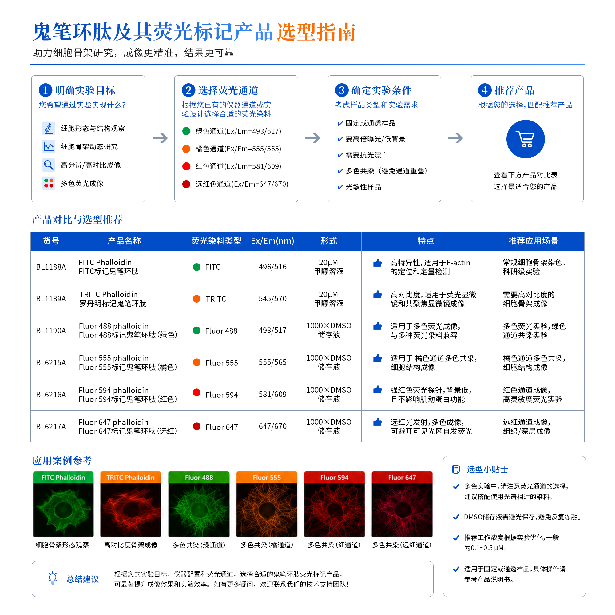 BL1189A TRITC Phalloidin 罗丹明标记鬼笔环肽 - Biosharp/白鲨