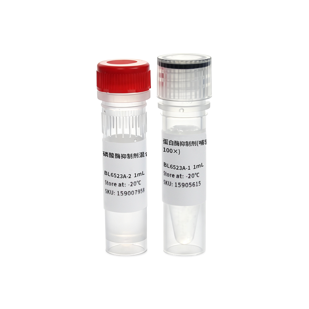 BL6523A 蛋白酶磷酸酶抑制剂混合物(哺乳动物样品抽提用, 100×) - Biosharp/白鲨