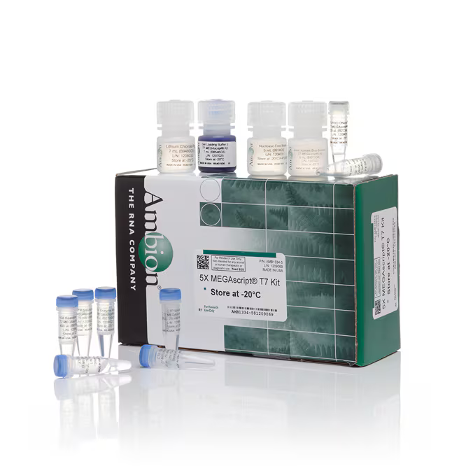 AMB13345 试剂MEGAscript T7 Transcription Kit - Gibco
