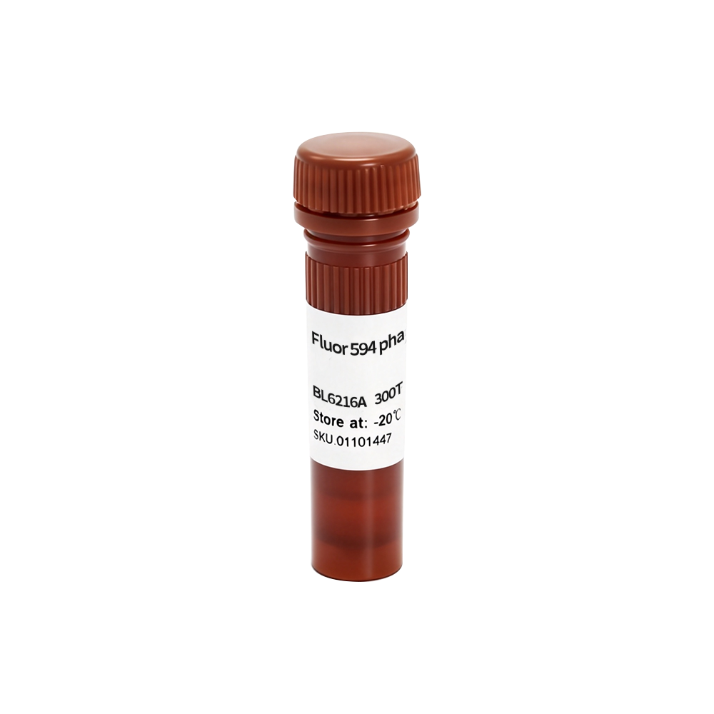 BL6216A Fluor 594 phalloidin/Fluor 594标记鬼笔环肽（红色） - Biosharp/白鲨