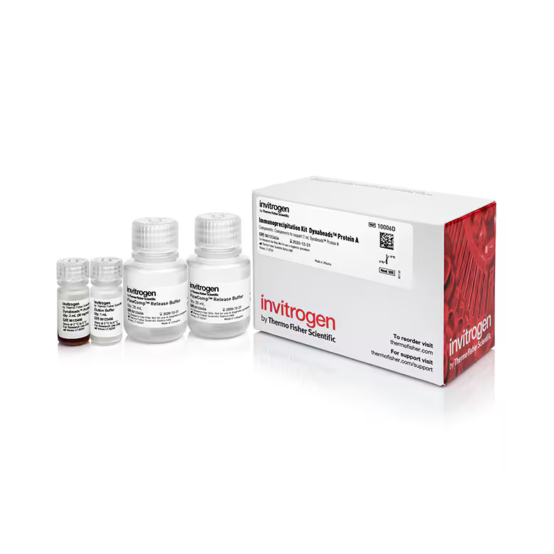 10006D 试剂IMMUNOPRECIPITATION KIT - Gibco