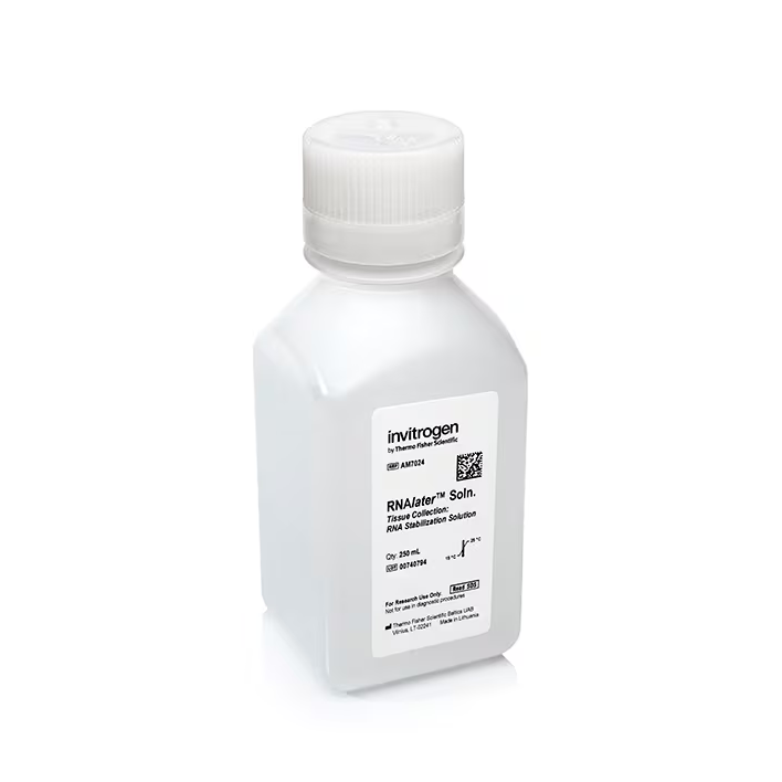 AM7024 试剂RNAlater? Stabilization Solution - Gibco