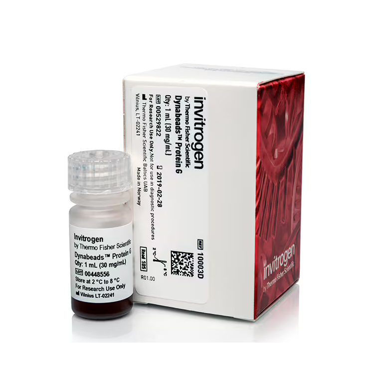 10003D 磁珠偶联的重组G蛋白 - Gibco