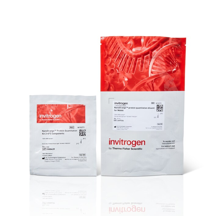 N6666 蛋白定量试剂盒，200-2,000 次测定 - Invitrogen