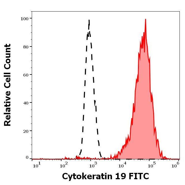 MA5-28576 细胞角蛋白 19 单克隆抗体 （A53-B/A2），FITC - Invitrogen