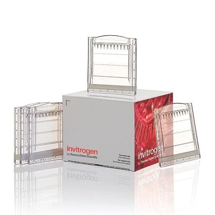 BN1001BOX 耗材Bis-Tris Mini Protein Gels, 3 to 12%, 1.0 mm - Invitrogen
