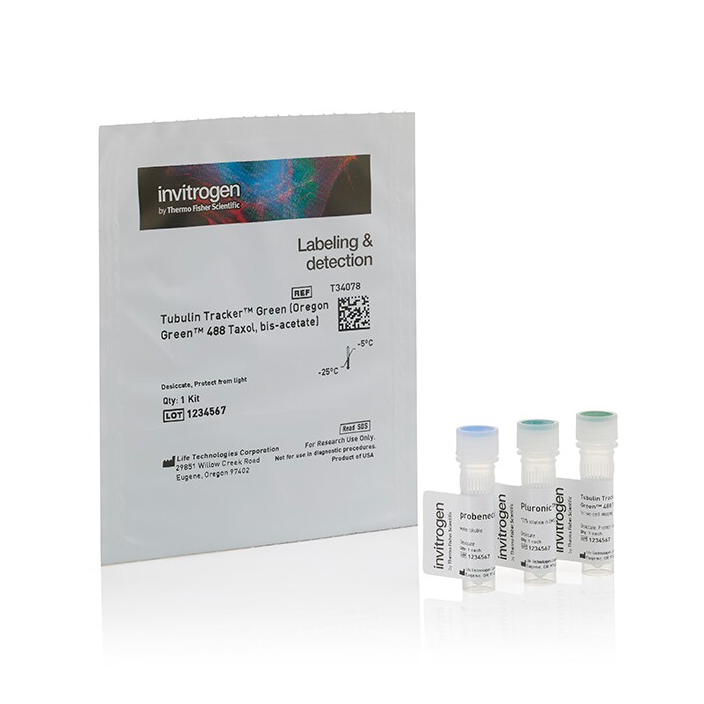 T34078 试剂TUBULIN TRACKER GREEN 1 - Invitrogen
