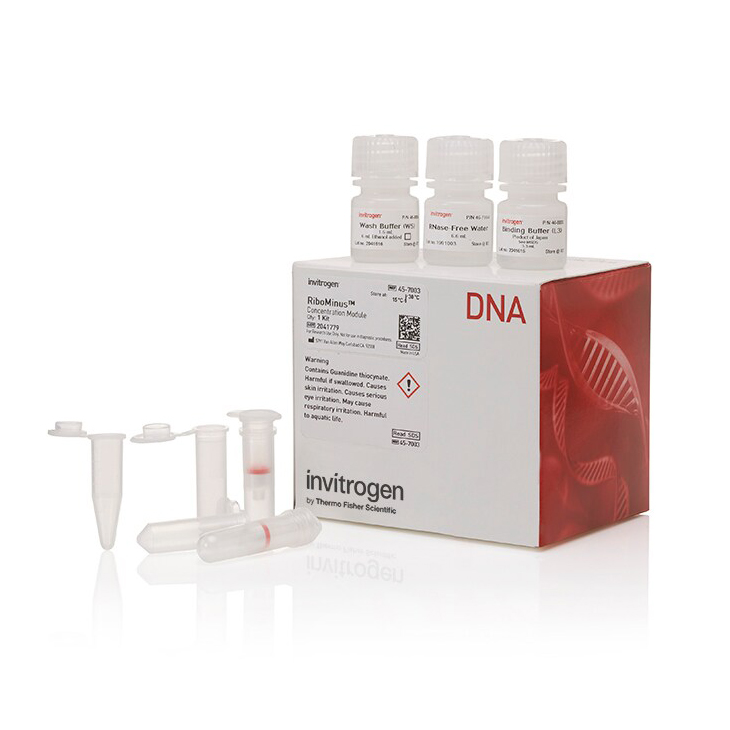 K183001 基因组植物 DNA 纯化试剂盒 - Invitrogen