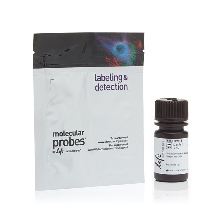 P36931 Gold 抗淬灭封片剂（含 DAPI） - Invitrogen