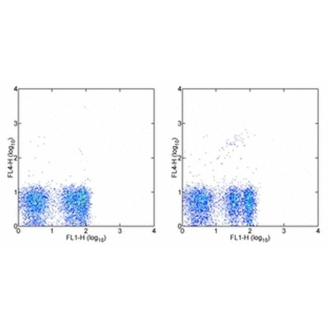 17-5711-82 一抗 - Invitrogen