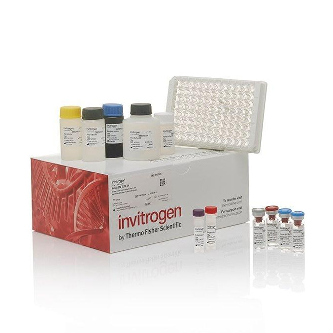 BMS2306 试剂盒Human Perforin ELISA Kit - Invitrogen