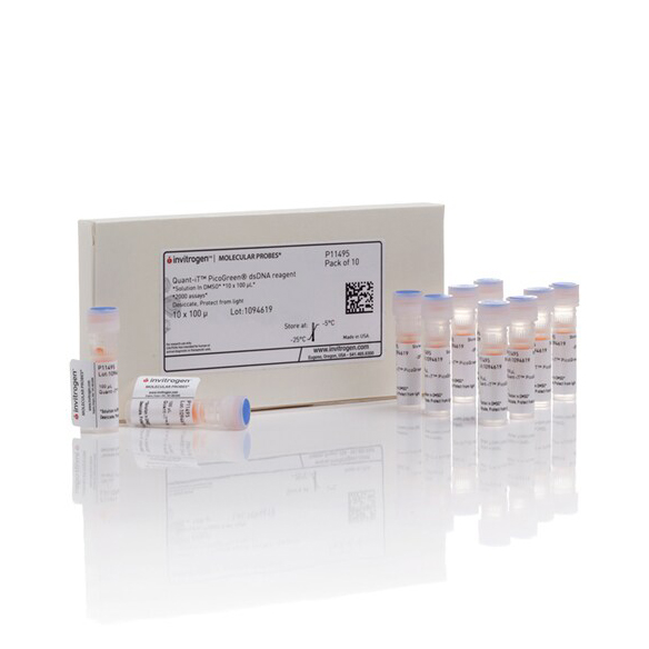 P11495 Quant-iT PicoGreen dsDNA 试剂 - Invitrogen