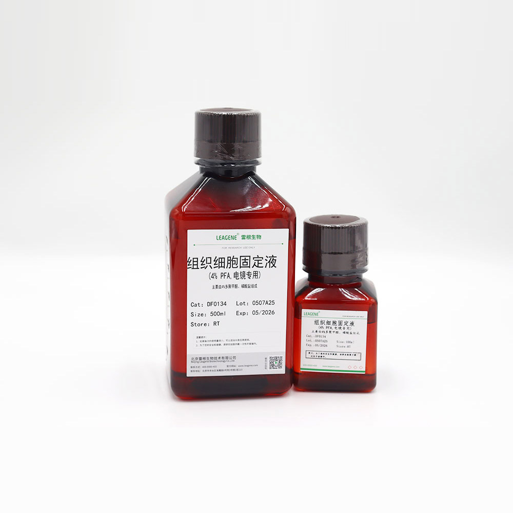 DF0134-500ml 组织细胞固定液(4% PFA,电镜专用) - 雷根