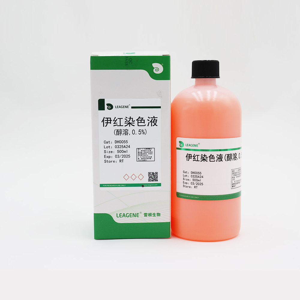 DH0055-500ml 伊红染色液(醇溶,0.5%) - 雷根