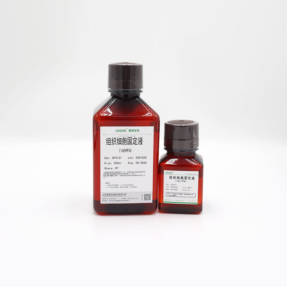 DF0131-500ml 组织细胞固定液(16% PFA) - 雷根