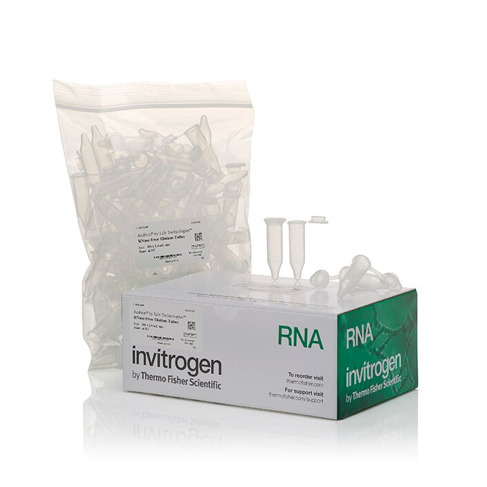 AM12480 无 RNase 洗脱管 (2.0 mL) - Invitrogen