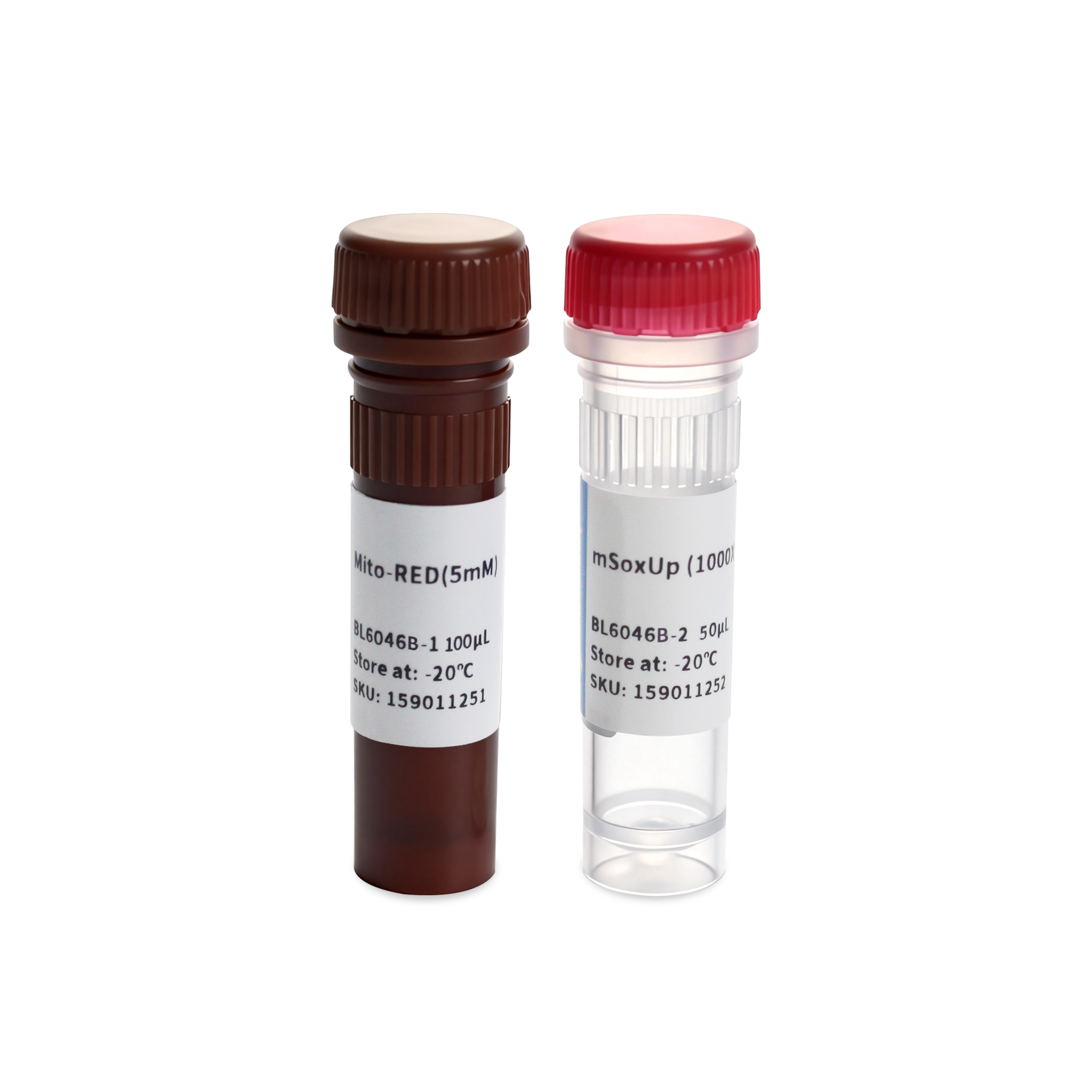 BL6046B 线粒体超氧化物检测试剂盒(Mito-RED) - Biosharp/白鲨