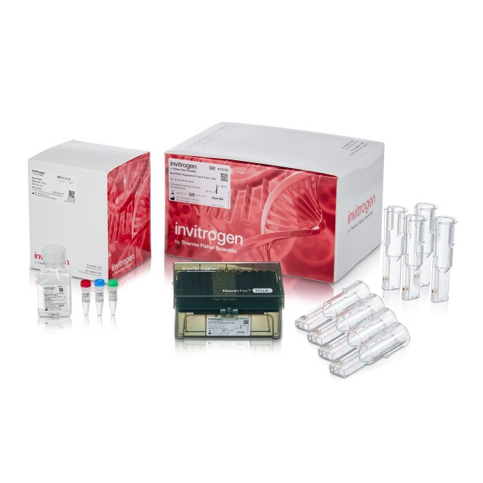 N1025 NxT 电孔系统 10 μL 套件，配备单通道电子管 - Invitrogen