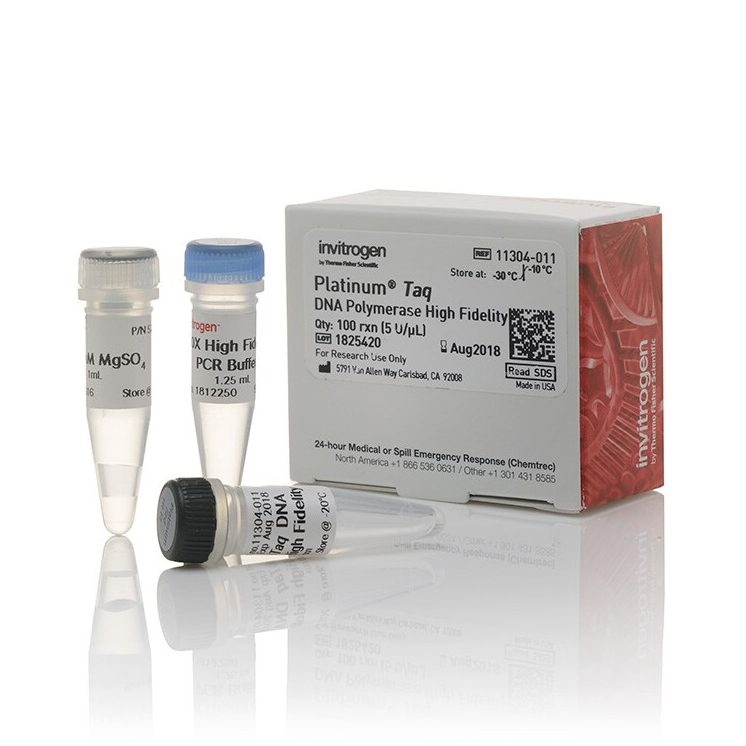 11304-011 试剂PlatinumTaqDNAPolymerase - Invitrogen