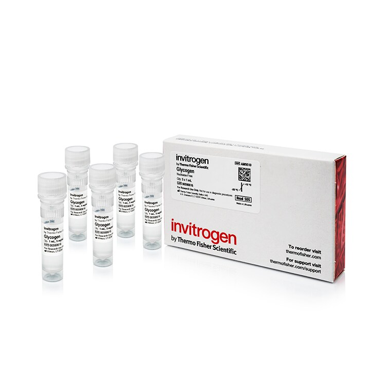 AM9510 糖原 (5 mg/ml) - Invitrogen