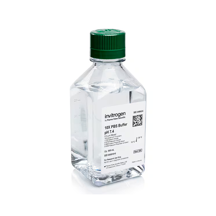 AM9624 试剂10X PBS BUFFER, - Invitrogen