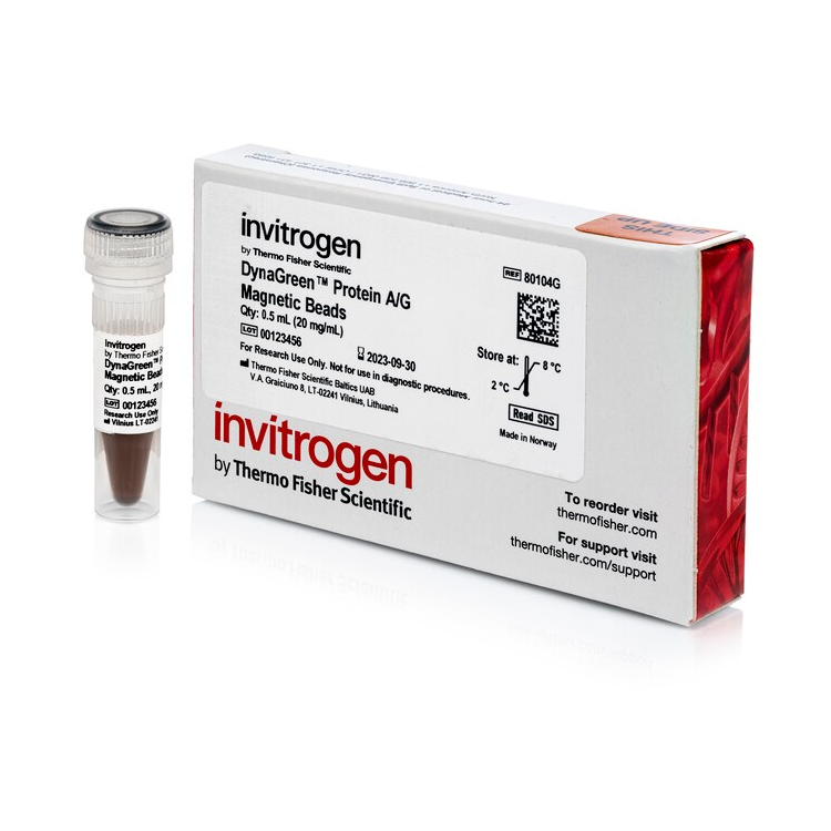 80104G Protein A/G 磁珠 - Invitrogen
