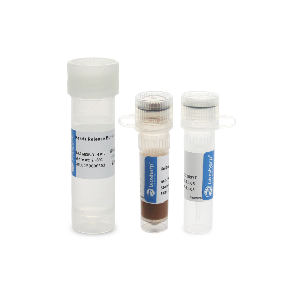 BL1663B 小鼠CD8+ 细胞磁珠法分选试剂盒（阳选） - Biosharp/白鲨