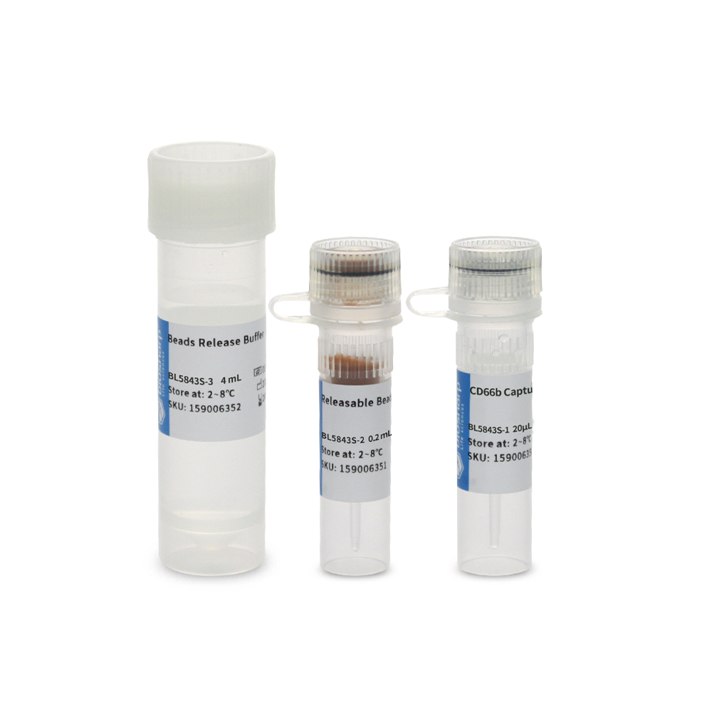 BL5843S 人CD66b+细胞磁珠法分选试剂盒（阳选） - Biosharp/白鲨