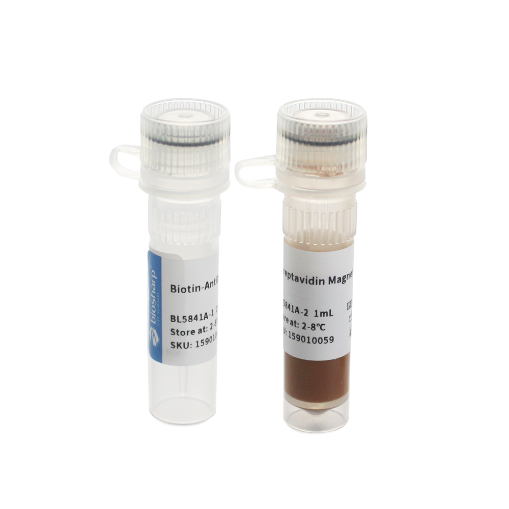 BL5841A 人CD4+ T细胞磁珠法分选试剂盒（阴选） - Biosharp/白鲨